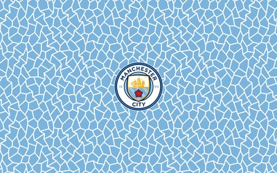 熊猫电竞-于帕梅卡诺这脚法中场核心级别